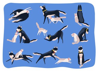 Bundle of dog and cat playing, chasing one another, sitting or lying together. Collection of pair of cute friends. Friendship between pets or domestic animals. Flat cartoon vector illustration.