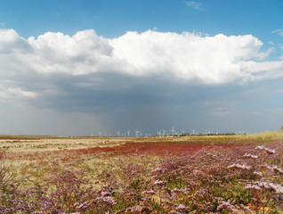 Landscape with windmills on the background of the sky and the field. Wind turbines farm. sandy beach. wind power. ecology