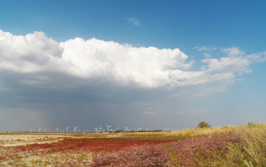 Landscape with windmills on the background of the sky and the field. Wind turbines farm. sandy beach. wind power. ecology