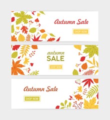 Set of autumn horizontal web banner templates with fallen tree leaves and sprigs with berries on white background. Flat bright colored vector illustration for seasonal sale advertisement, promotion.