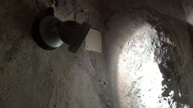 Ночной мотылек летит на свет
