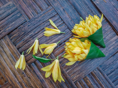 Magnolia Champaca flower,Champak or Michelia champaca lay on wooden background.