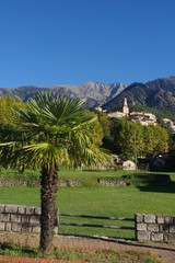 Village de Vernet les bains et palmier et canigou dans le 66