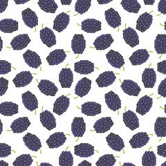 Mulberry seamless pattern on an isolated white background. Background