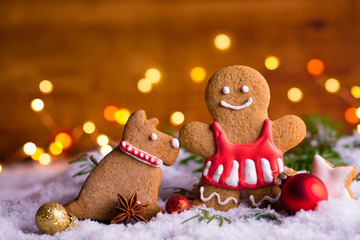 Gingerbread woman with gingerbread dog in snow landscape at Christmas time
