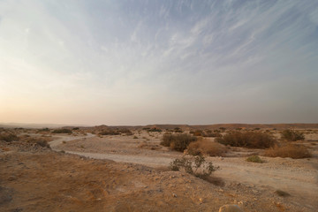 Fototapeta na wymiar Road in the desert, landscape