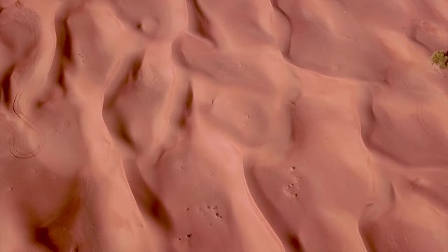 Desert Lines