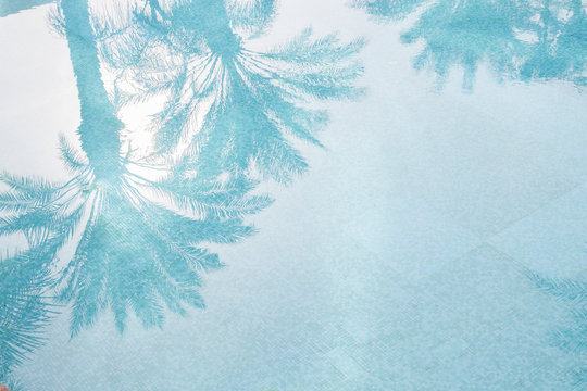 Palms reflection in the waterpool, copy space