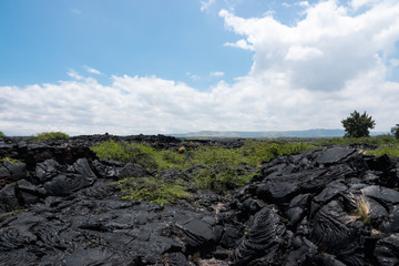 Pahoehoe Lava Field on Hawai'i