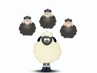 counting the sheep to sleep