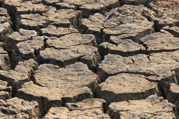 dry cracked earth