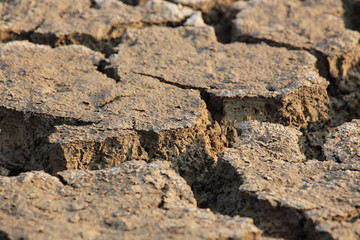 dry cracked earth