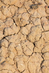 dry cracked earth
