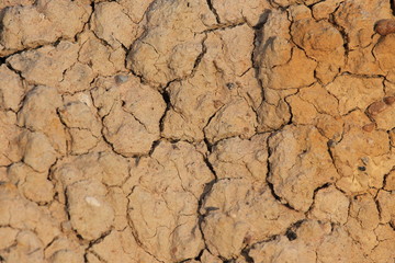 cracked earth texture