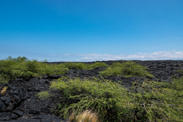 Fototapeta na wymiar Pahoehoe Lava Field on Hawai'i