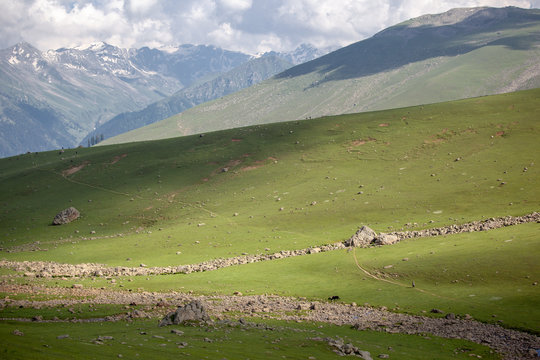 A shephard walks through mountainous landscape in Himalayas