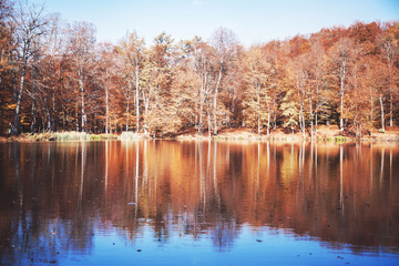 Colorful autumn with lake. Autumn Landscape