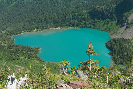 รูปภาพGrinnel – เลือกดูภาพถ่ายสต็อก เวกเตอร์ และวิดีโอ159 | Adobe Stock