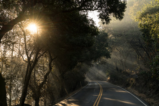 Light Filters Through Smokey Haze On A Rural Road