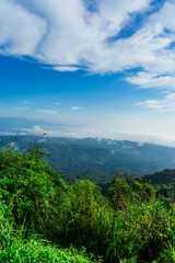 Blue sky and cloud with meadow tree. Plain landscape background for summer poster of thailand.