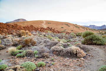 Sunset above National Park Vulcan El Teide on Tenerife, Spain - Canary Islands. Blue sky, orange...