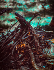 Bonfire laid out in the forest. Outdoors