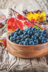 In autumn, blue thorns are picked in a wooden bowl of olive tree . Autumn background