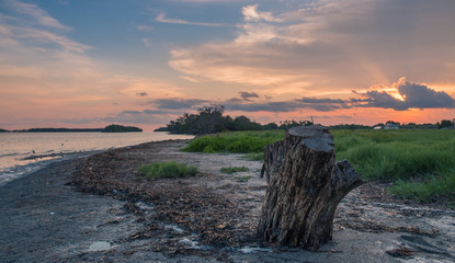Flamingo Visitor Center, Everglades National Park, Florida, USA - July 14, 2018: View of a stump of a tree in a beautiful sunset in Everglades, Florida