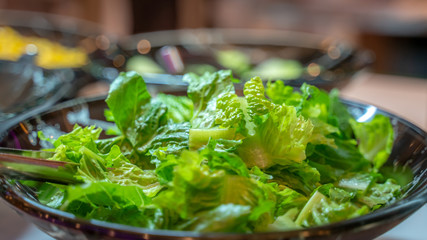 Fresh Green Lettuce