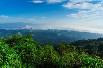 Blue sky and cloud with meadow tree. Plain landscape background for summer poster of thailand.