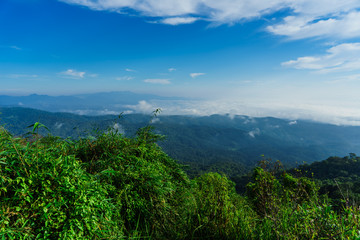 Blue sky and cloud with meadow tree. Plain landscape background for summer poster of thailand.