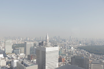 Fototapeta premium 新宿