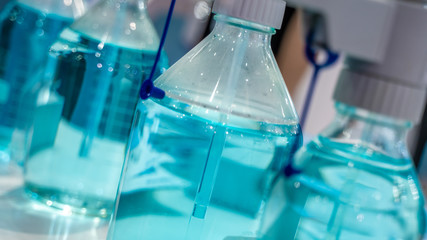 Testing Tube In Laboratory