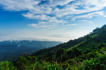 Blue sky and cloud with meadow tree. Plain landscape background for summer poster of thailand.