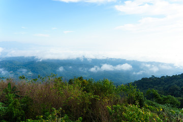 Blue sky and cloud with meadow tree. Plain landscape background for summer poster of thailand.