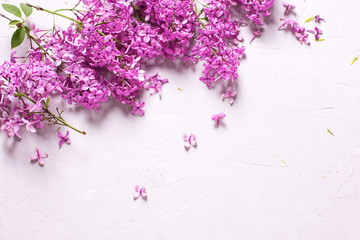 Obraz na płótnie Canvas Frame from fresh violet lilac flowers on grey textured background.