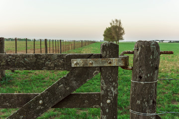 Argentinian Field Landscape