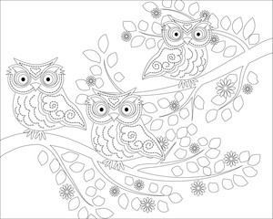 Fototapeta premium Coloring book for adult and older children. Coloring page with cute owl and floral frame. Outline drawing in zentangle style
