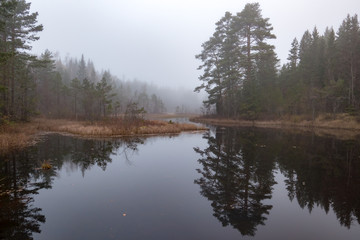 Obraz premium foggy landscape over water autumn in sweden
