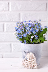 Floral background - blue forget-me-nots or myosotis flowers   in grey bucket and decorative heart