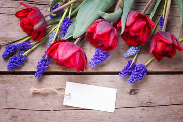 Red tulips and blue muscaries flowers and empty tag  on aged textured  background.