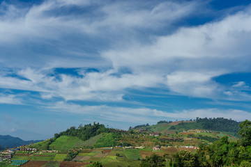 Obraz premium Blue sky and cloud with meadow tree. Plain landscape background for summer poster of thailand.