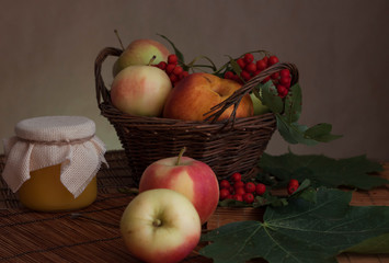 autumn vegetable fruit still life