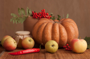 autumn vegetable fruit still life