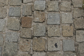 SONY DSC