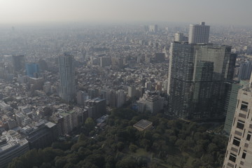 Fototapeta premium 新宿