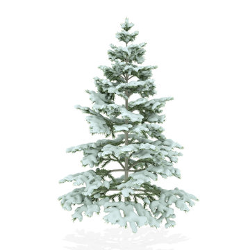 Realistic Christmas Tree covered with snow isolated on a white background. 3D Illustration