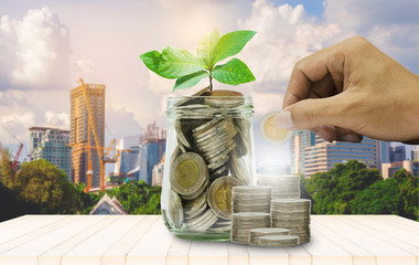 coin staking green plant growing with hand put coin in to jar with city building background. financial and saving money concept. budgeting property real estate  investment.