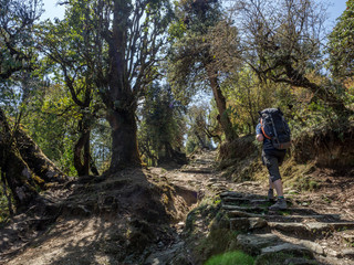 Obraz premium On the Poon Hill trek