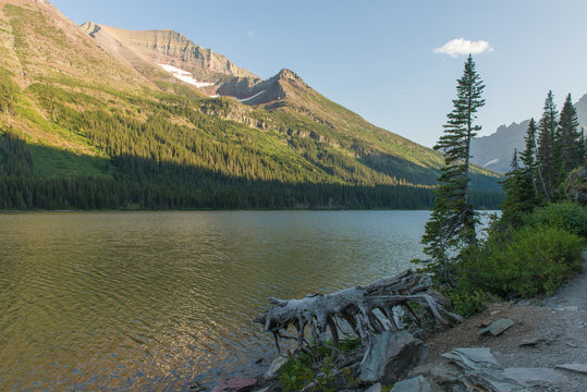 รูปภาพGrinnel – เลือกดูภาพถ่ายสต็อก เวกเตอร์ และวิดีโอ159 | Adobe Stock